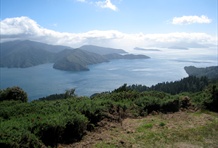 Queen Charlotte Islands (Haida Gwaii)